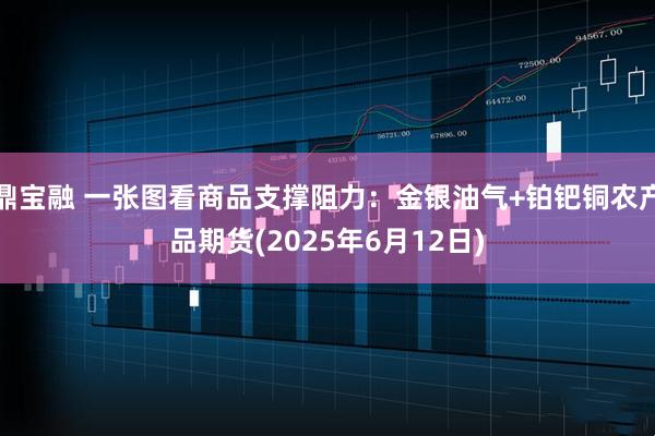 鼎宝融 一张图看商品支撑阻力：金银油气+铂钯铜农产品期货(2025年6月12日)