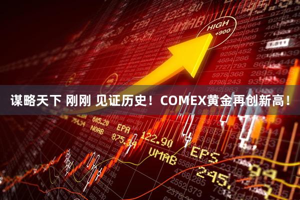 谋略天下 刚刚 见证历史！COMEX黄金再创新高！