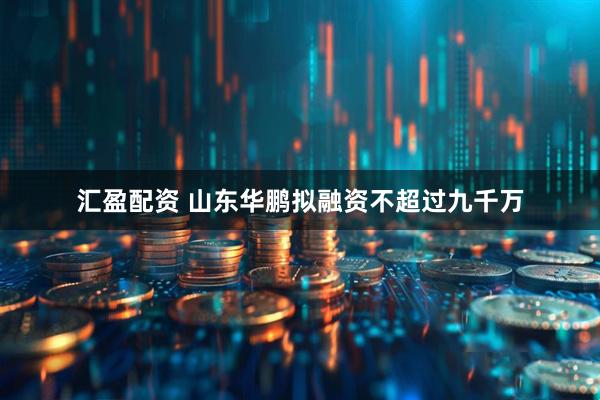 汇盈配资 山东华鹏拟融资不超过九千万