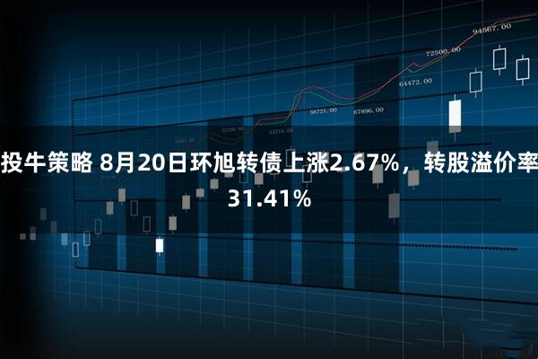 投牛策略 8月20日环旭转债上涨2.67%，转股溢价率31.41%